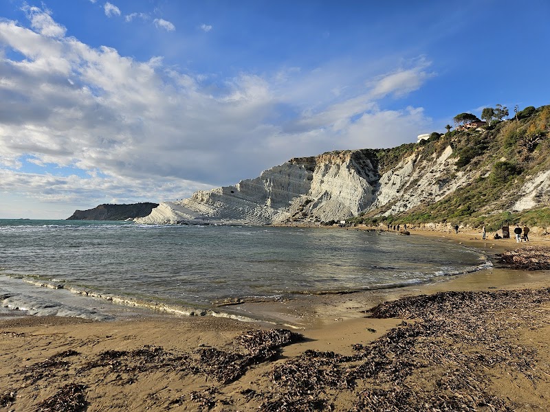 Rocky bottom near shore