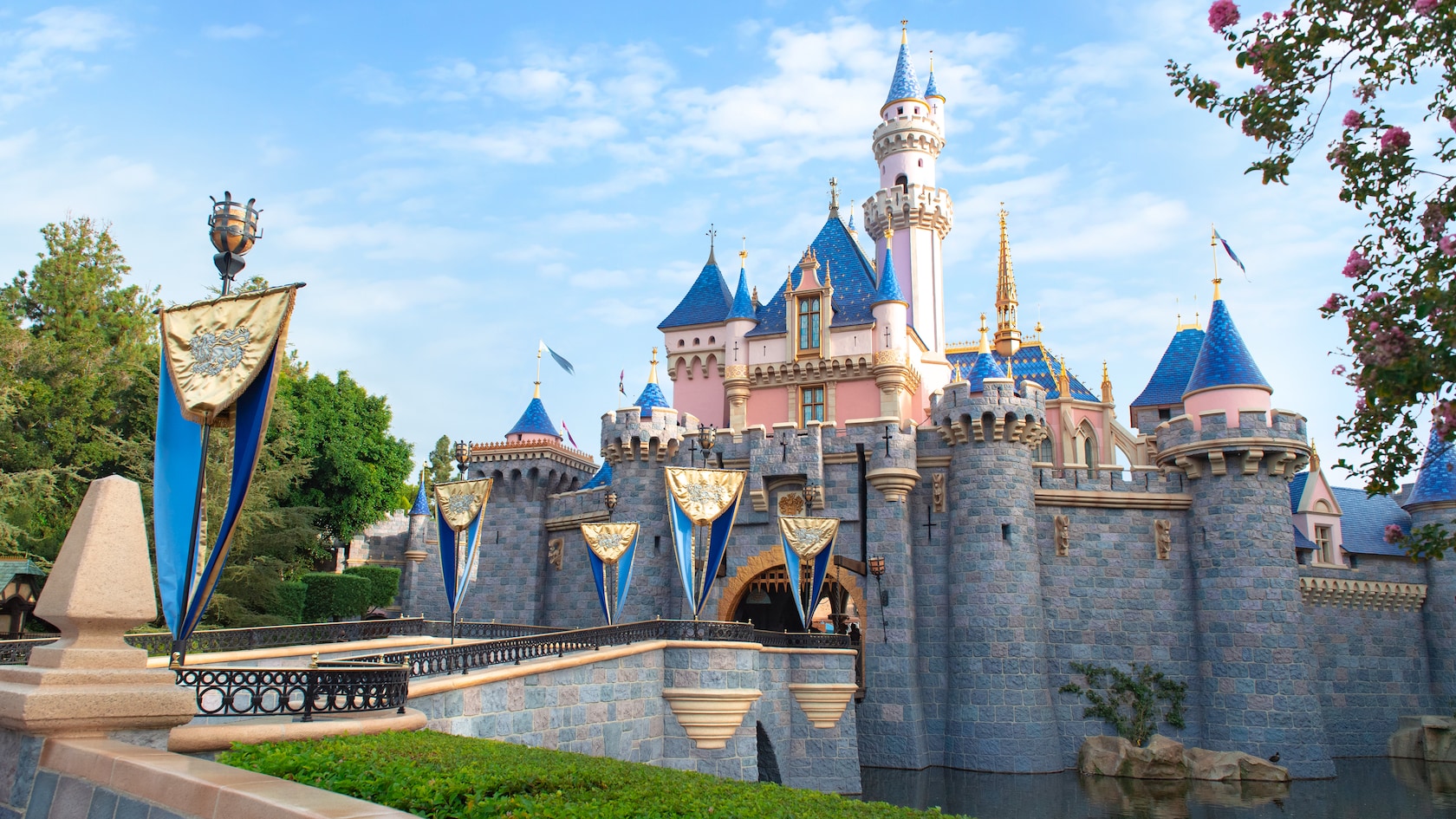Sleeping Beauty Castle frame